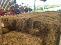 32 CONVENTIONAL BALES OF 2024 HAY - 9