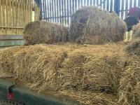 32 CONVENTIONAL BALES OF 2024 HAY - 10