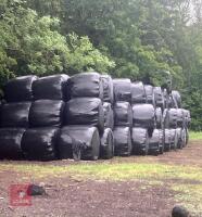 20 ROUND BALES OF 2026 HAYLAGE - 2