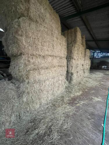 10 SQUARE BALES OF 2026 MEADOW HAY