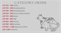 SOUTH WEST SALE LOT CATEGORIES