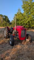 1958 MASSEY FERGUSON 35 2WD TRACTOR - 6