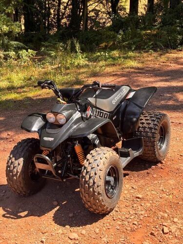 2022 QUADZILLA R100 2WD QUAD BIKE