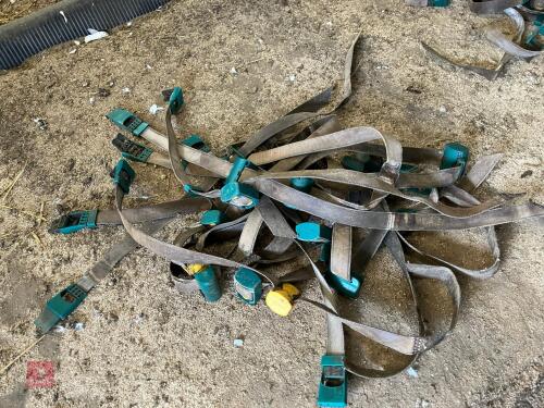 14 GEA COW COLLARS