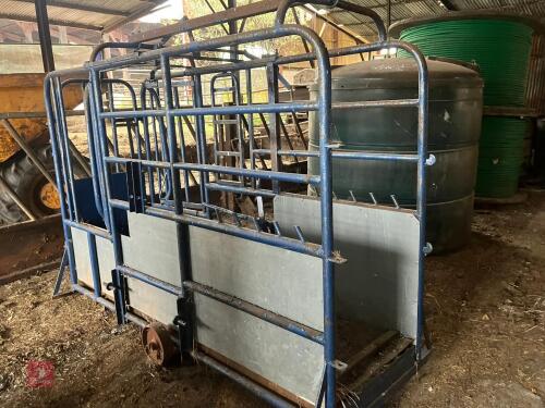 TUBULAR METAL WEIGH CATTLE CRUSH