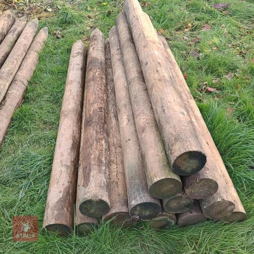 10 X 5-6' X 2.1M TIMBER POSTS (4)
