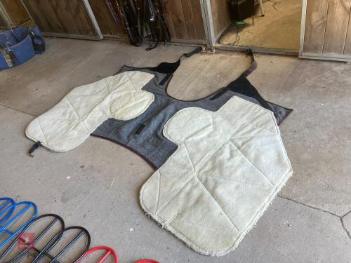 MONTY ROBERTS STALLS RUG