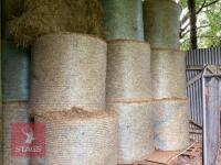 40 ROUND BALES OF 2026 HAY