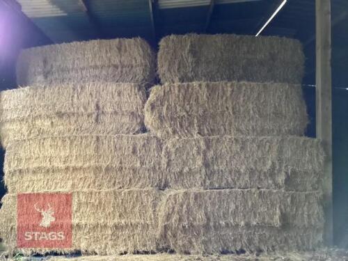 55 SQUARE BALES OF 2026 HAY