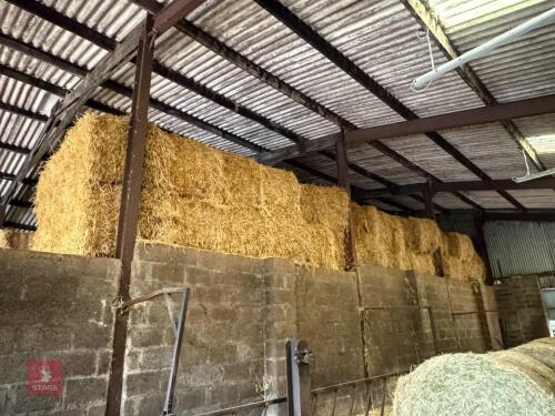 35 SQUARE BALES OF 2025 BARLEY STRAW