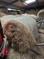 18 ROUND BALES OF 2026 HAY