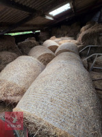 18 ROUND BALES OF 2026 HAY - 2