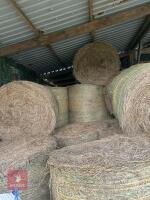 30 ROUND BALES OF 2026 HAY - 3