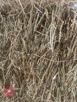 63 CONVENTIONAL BALES OF WILD FLOWER HAY - 2