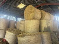 20 ROUND BALES OF 2026 HAY - 3
