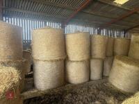 20 ROUND BALES OF 2026 HAY - 6