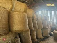 20 ROUND BALES OF 2026 HAY - 4