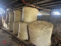 20 ROUND BALES OF 2026 HAY - 5