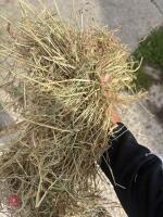20 ROUND BALES OF 2026 HAY - 2