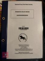 5MO MINIATURE SHETLAND 7HH COLT FOAL - 5