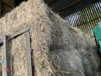 21 SQUARE BALES OF 2026 HAY