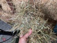 21 SQUARE BALES OF 2026 HAY - 4