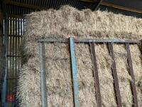 21 SQUARE BALES OF 2026 HAY - 5