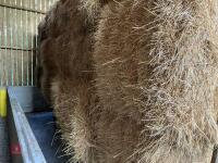 21 SQUARE BALES OF 2026 HAY - 6