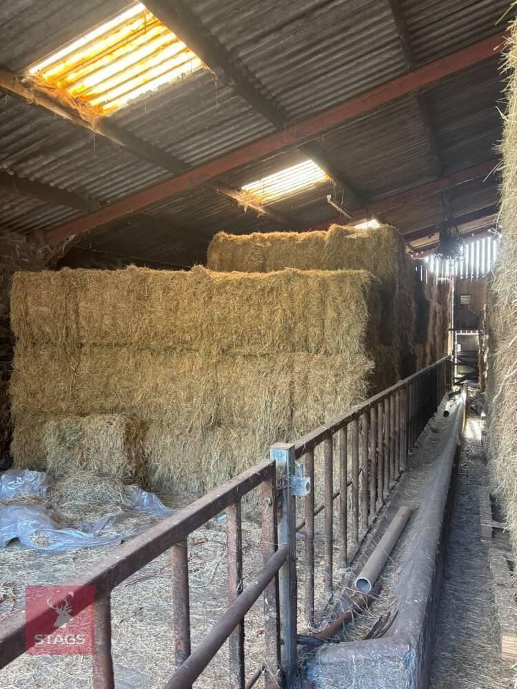 200 SQUARE BALES OF 2026 HAY