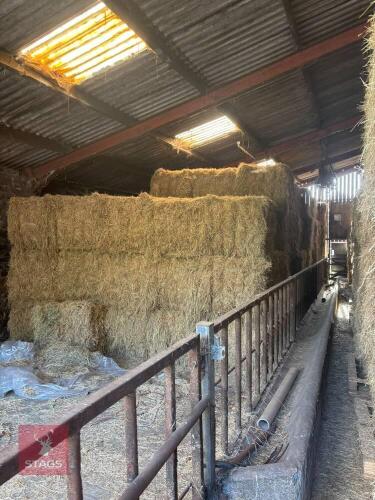 200 SQUARE BALES OF 2026 HAY