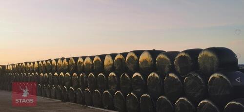 120 ROUND BALES OF 2026 1ST CUT HAYLAGE