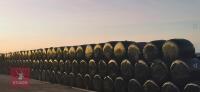 120 ROUND BALES OF 2026 1ST CUT HAYLAGE