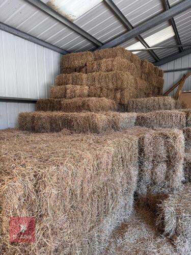 50 CONVENTIONAL BALES OF 2026 STRAW