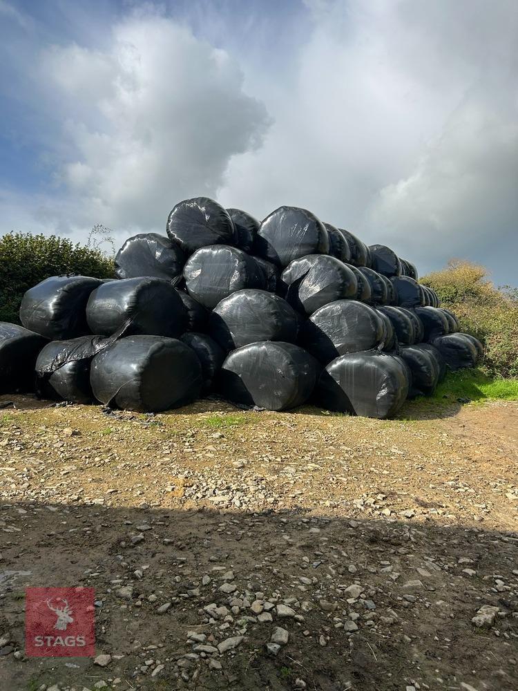 100 ROUND BALES OF 2ND CUT 2026 SILAGE