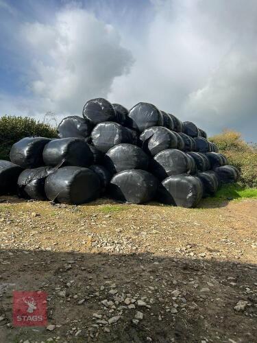 100 ROUND BALES OF 2ND CUT 2026 SILAGE