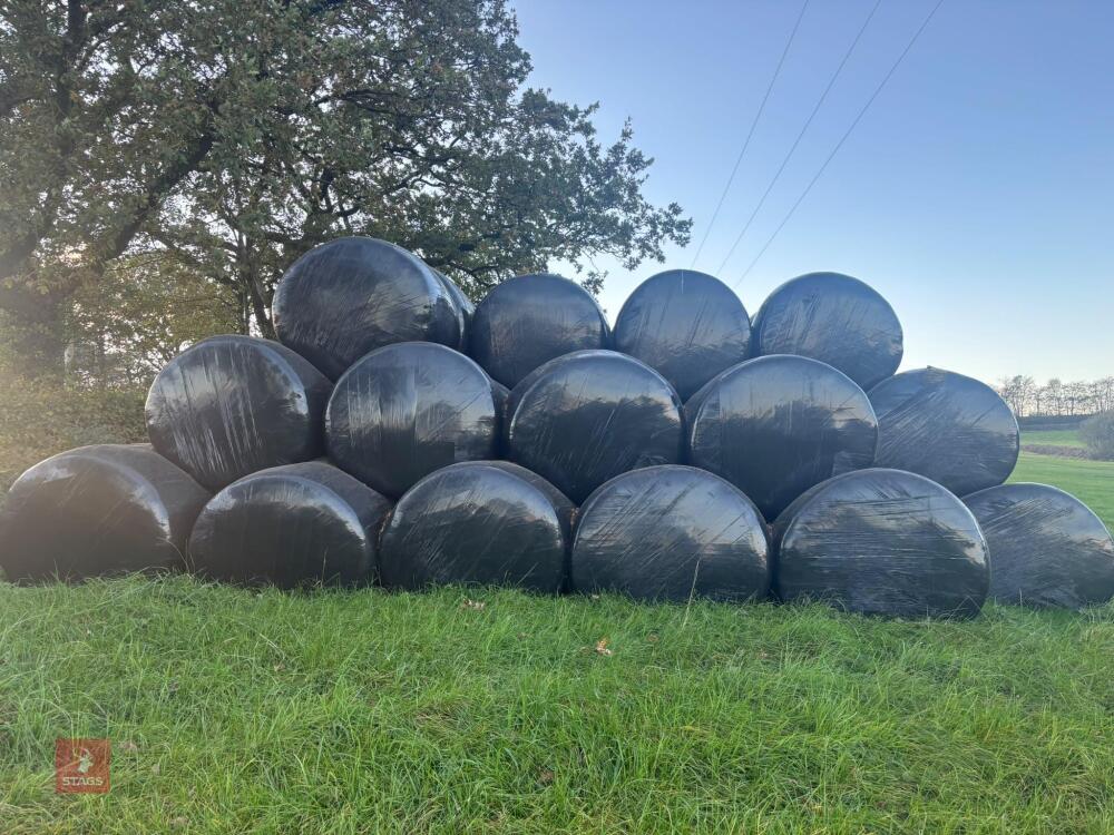 185 ROUND BALES OF 2026 HAYLAGE