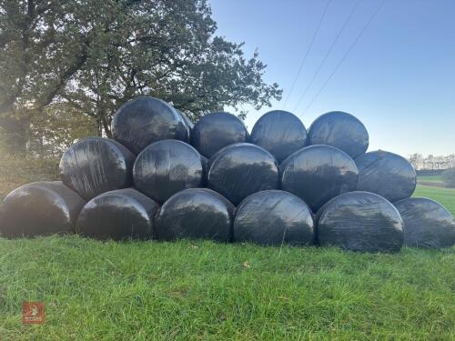 185 ROUND BALES OF 2026 HAYLAGE