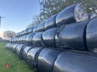 185 ROUND BALES OF 2026 HAYLAGE - 4