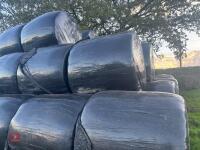 185 ROUND BALES OF 2026 HAYLAGE - 5