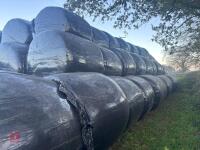 185 ROUND BALES OF 2026 HAYLAGE - 6