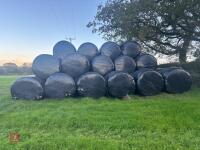 185 ROUND BALES OF 2026 HAYLAGE - 9