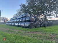 185 ROUND BALES OF 2026 HAYLAGE - 11