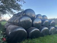 185 ROUND BALES OF 2026 HAYLAGE - 13
