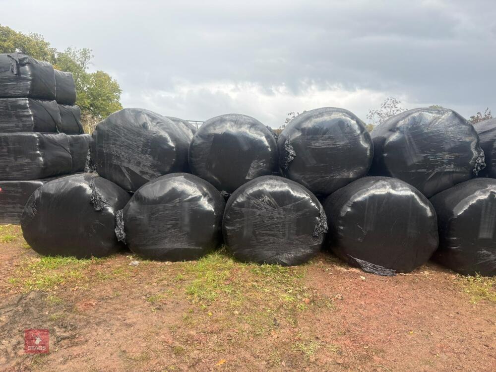 40 ROUND BALES OF 1ST CUT 2026 SILAGE