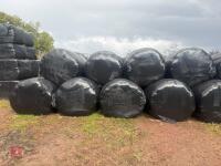 40 ROUND BALES OF 1ST CUT 2026 SILAGE