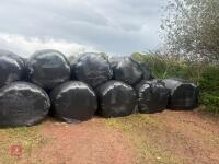 40 ROUND BALES OF 1ST CUT 2026 SILAGE - 4