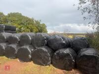 40 ROUND BALES OF 1ST CUT 2026 SILAGE - 7