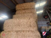 55 SQUARE BALES OF 2026 HAY - 2