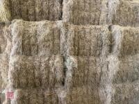 55 SQUARE BALES OF 2026 HAY - 4
