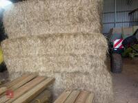 55 SQUARE BALES OF 2026 HAY - 5